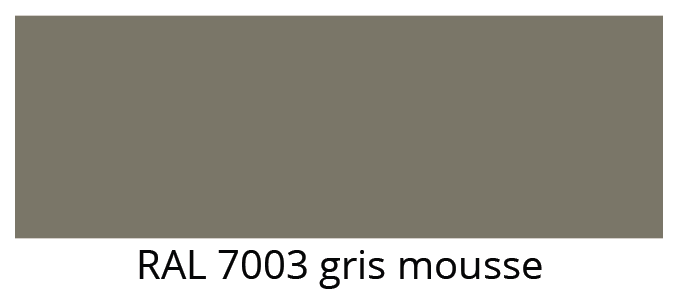 ral 7003 gris mousse